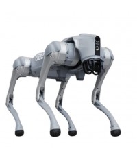 Unitree go2 köpek robot
